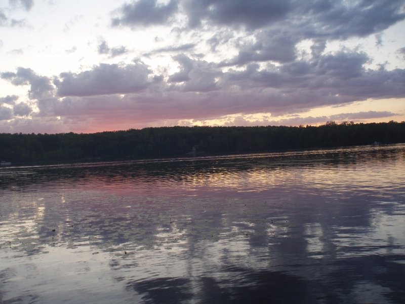 Grace Olympia Brice - Photo 14