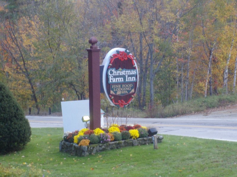 Grace Olympia Brice - Photo 38