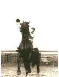 C. Patrick Sullivan - Photo 27