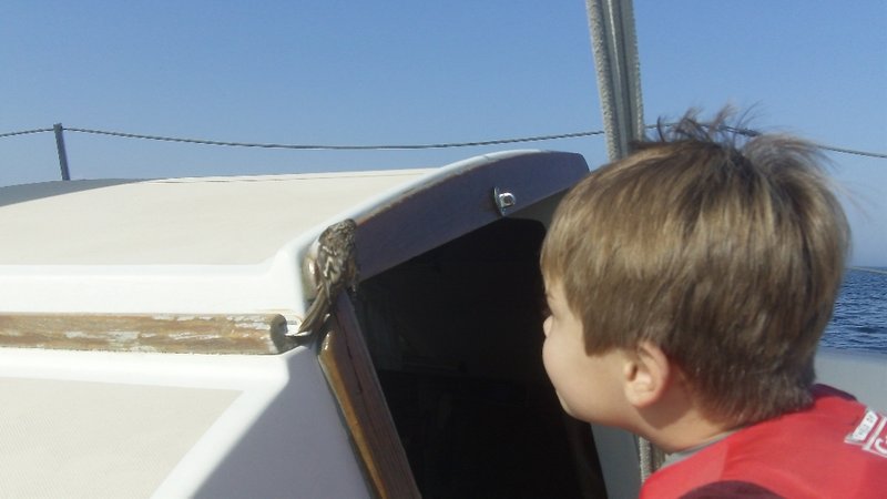 Robert Louis Lendvay