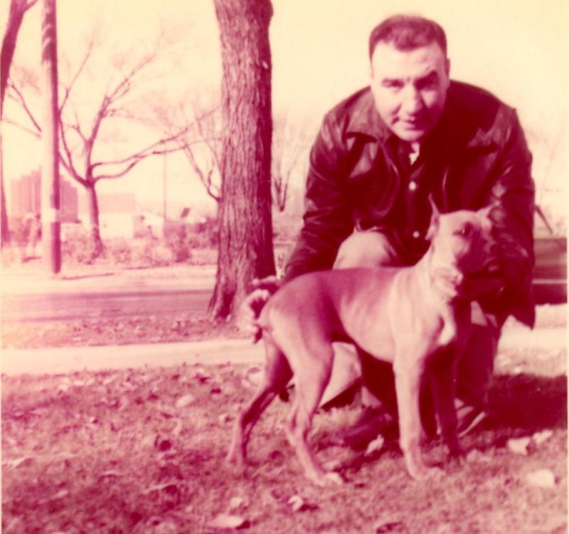 Emil Pietrangeli - Photo 16