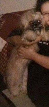 Barbara J. Calchera - Photo 5