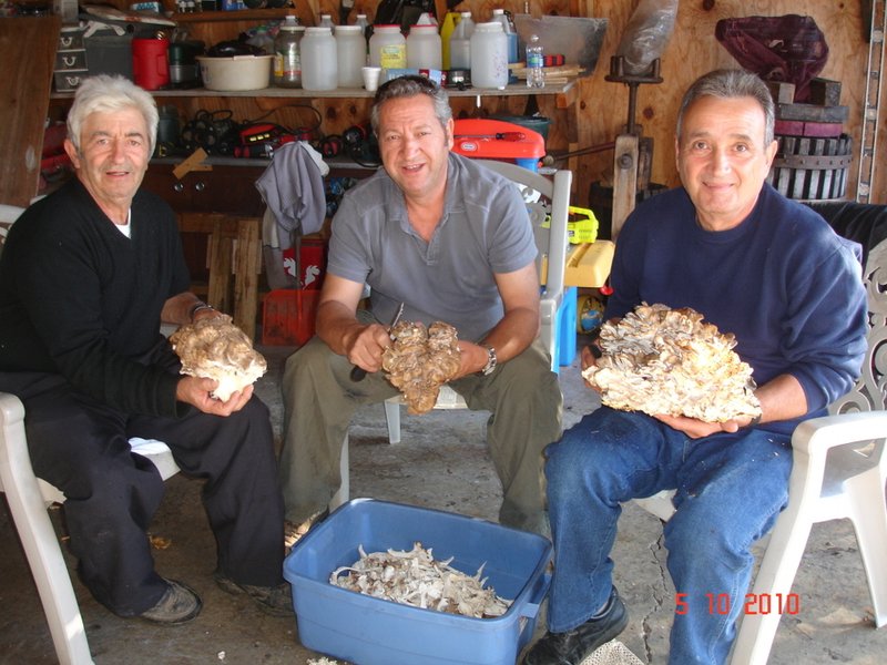 Pierino Ruffolo - Photo 2