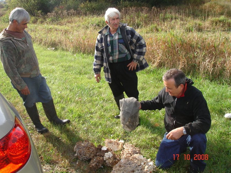 Pierino Ruffolo - Photo 7