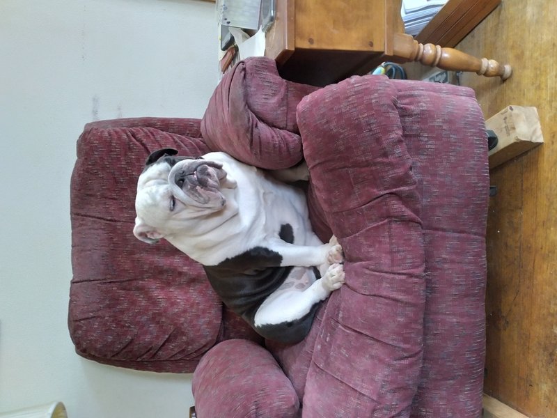 William T. Schopp - Photo 19