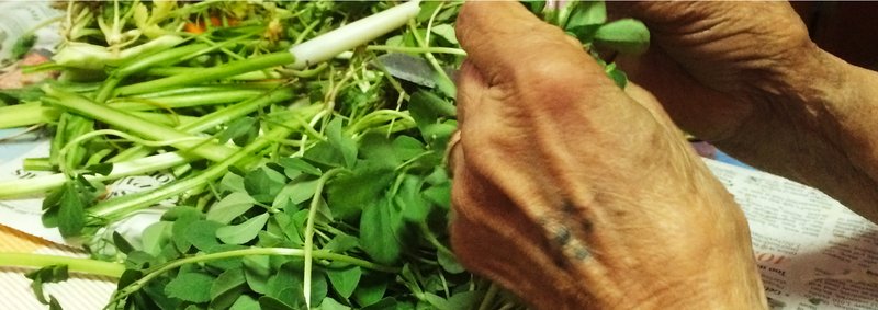 Narbada Shah - Photo 2