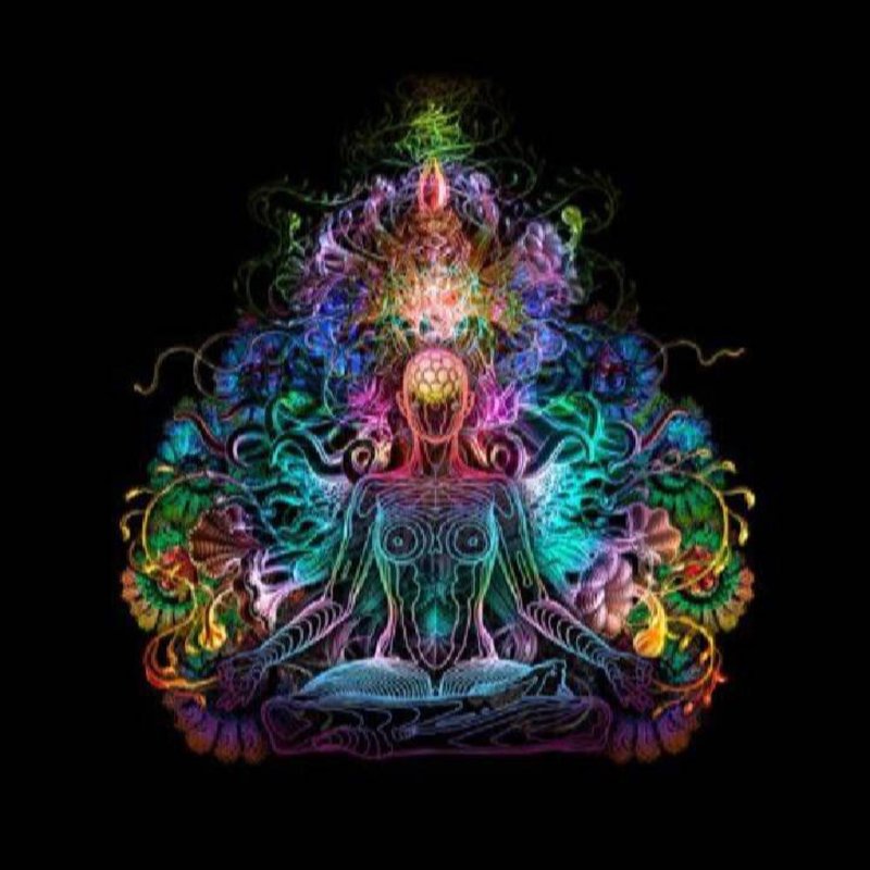 Ashley Lynn Norris - Photo 3