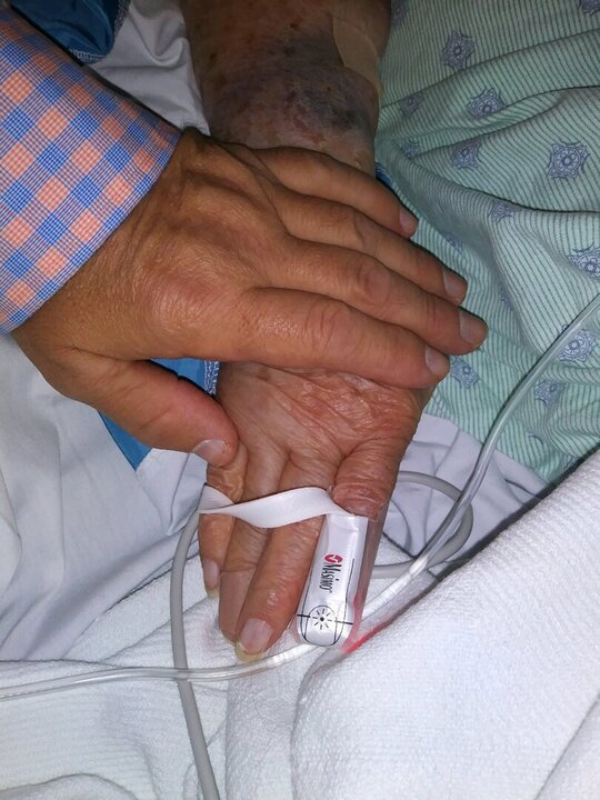 Ada Ziccarelli - Photo 48