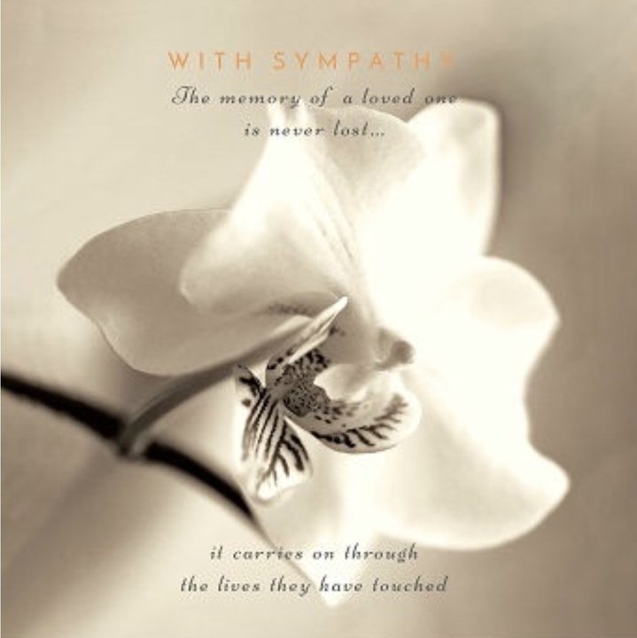 Mark Carrol Hackbarth - Photo 6