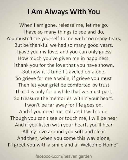 Timothy Joseph LaLond - Photo 15