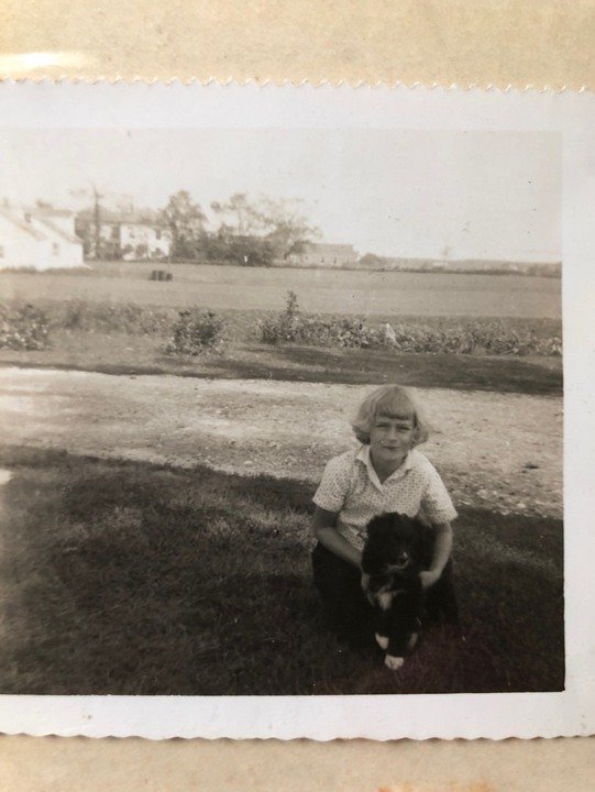 Dianne T. Droskoski - Photo 11