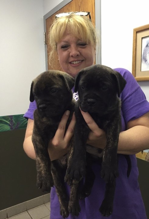 Hillary Ann Coley - Photo 2