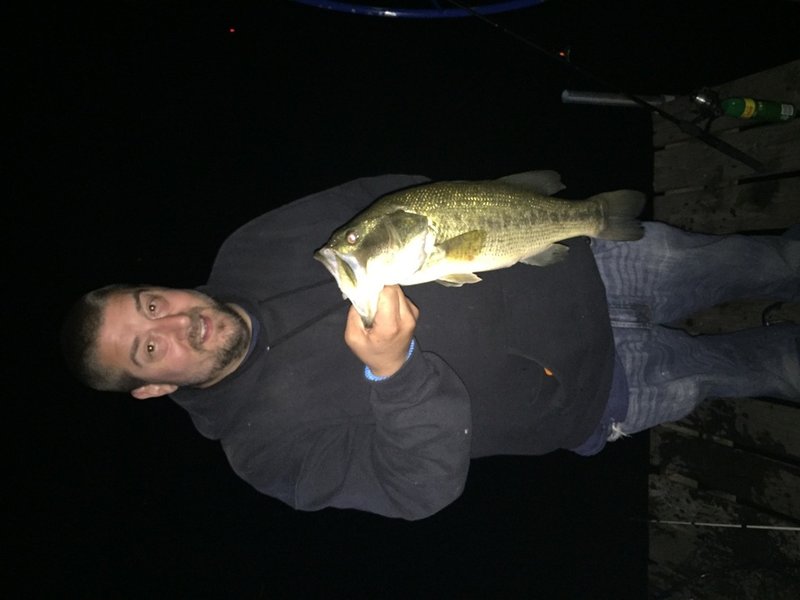 James Richard Giannini - Photo 7