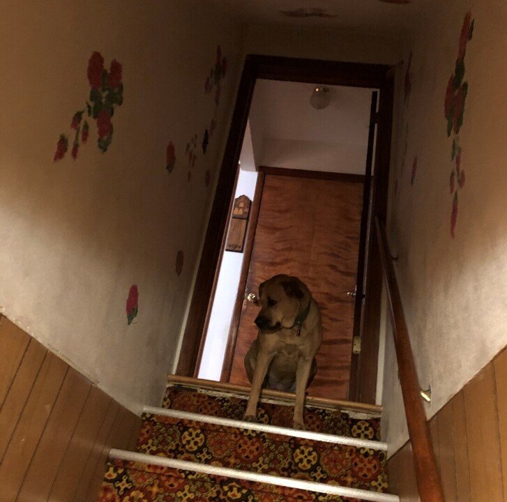 Dorothy E. Kirchner - Photo 3