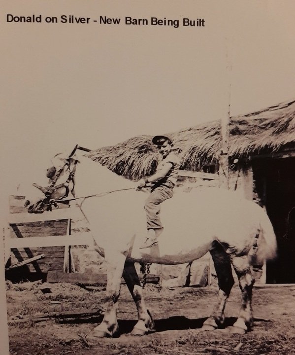 Donald John Flesia - Photo 6