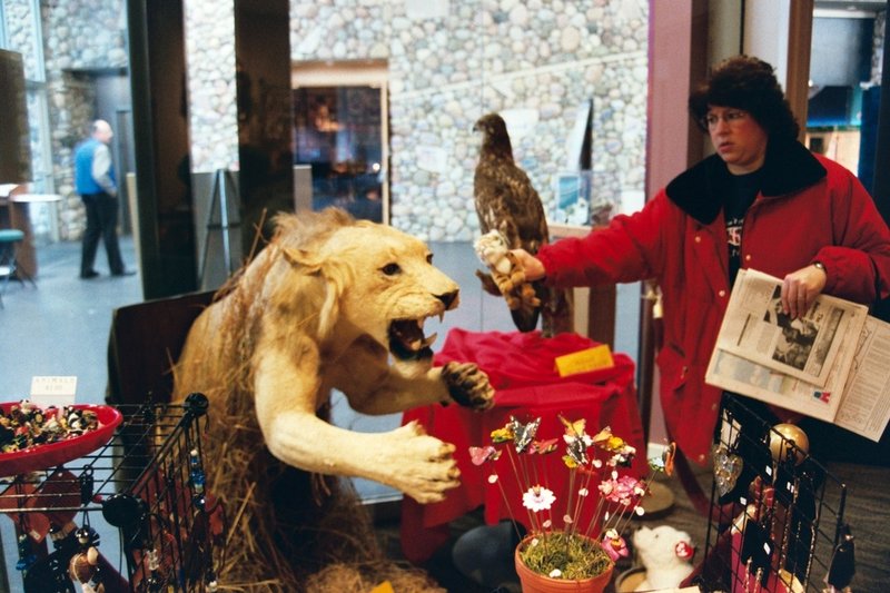 Arlene R. Fornander - Photo 7