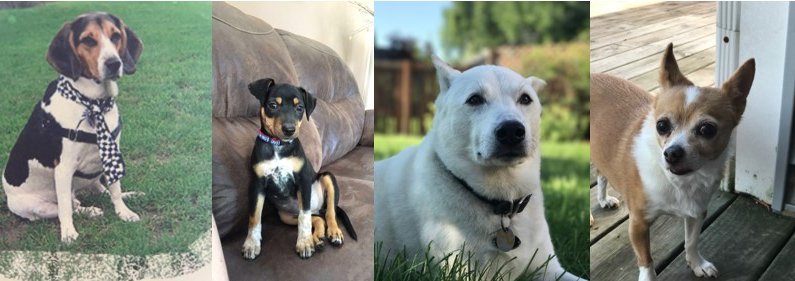 Angela Louise Martinez - Photo 3