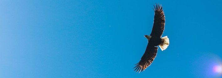 Edward Yells - Photo 3