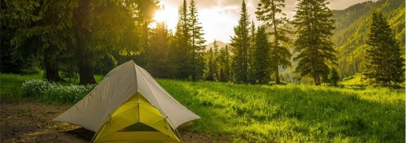 Aldus Gladney Jr. - Photo 2