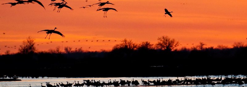 Patrick Logan Tinker - Photo 8