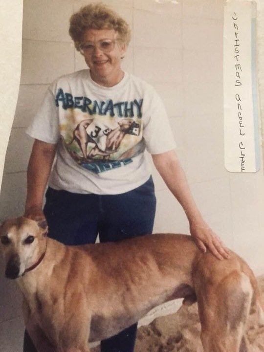 Linda E Elsen - Photo 11