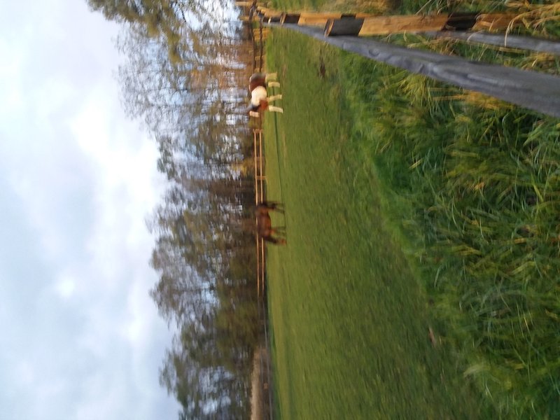 Yvonne Cheryl Zalewski - Photo 6