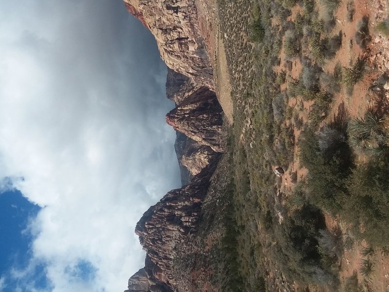 Yvonne Cheryl Zalewski - Photo 15