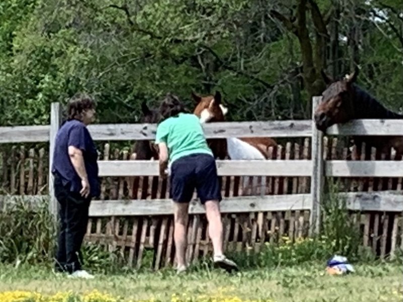 Yvonne Cheryl Zalewski - Photo 16