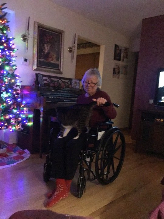 Milica Urosevic - Photo 2