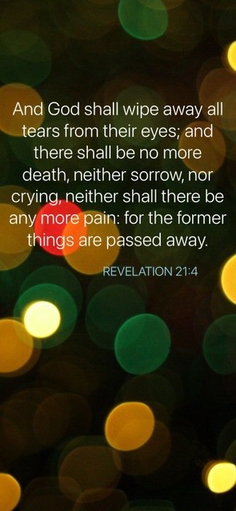 Judith M Francois - Photo 3