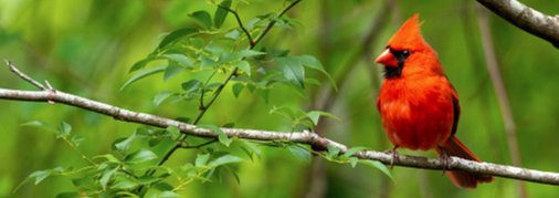 Margaret Nancy Putrynski - Photo 2