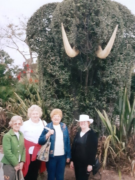 Shirley Dorothy Amore - Photo 6