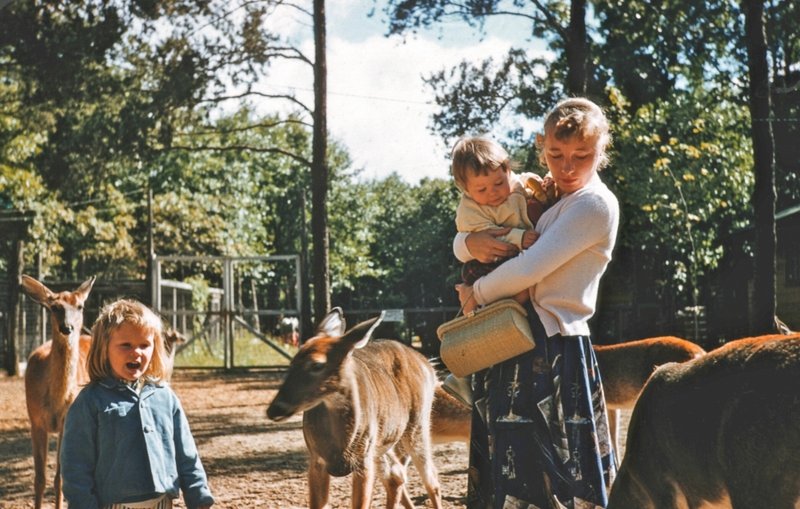 Shirley A Norberg - Photo 18