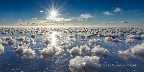 Donald Gary Urban Sr - Photo 2