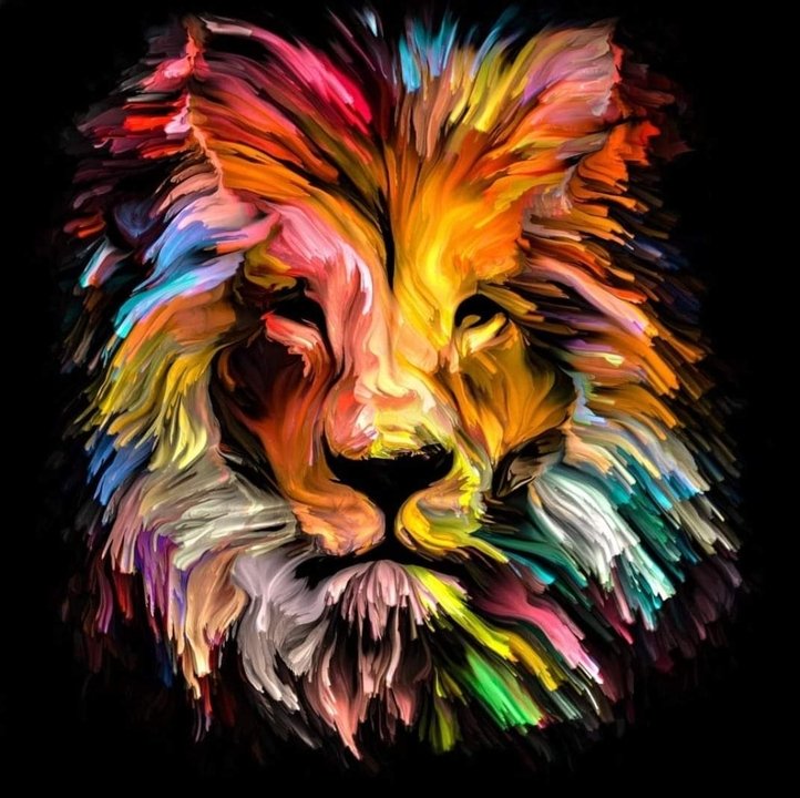 Louise Lynne Lin - Photo 24