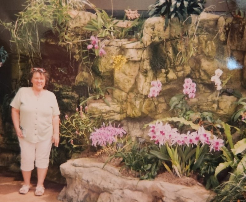 Louise Lynne Lin - Photo 41