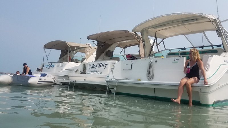 Allen J. Mueller - Photo 3