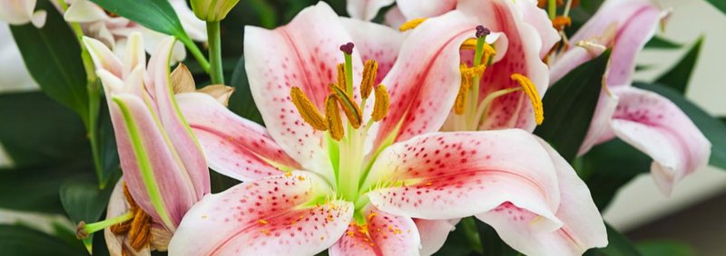 Laura Ann Rasmussen - Photo 3