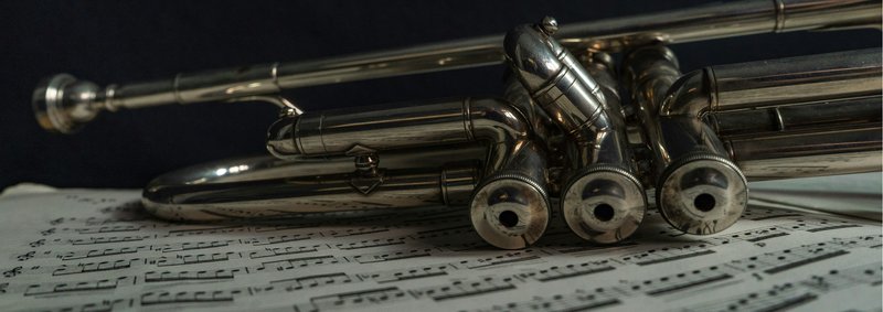 James M Stella - Photo 6