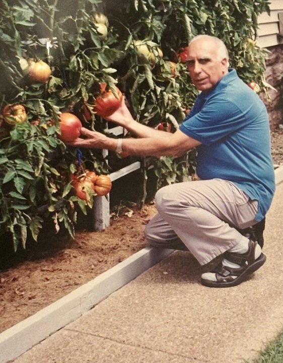 Umile Andrea Covelli - Photo 31