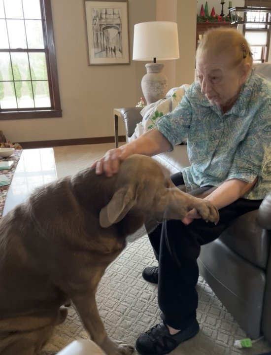 Donna Mae Covelli - Photo 3