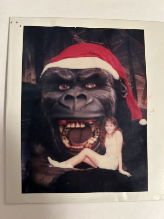 Sara A. Lucci - Photo 49