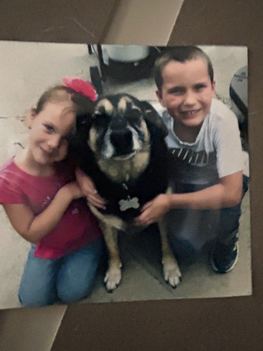 Sara A. Lucci - Photo 91