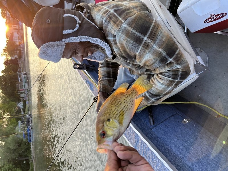 Ronald L. Bryan - Photo 22