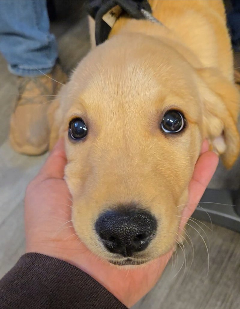 Charles Lee Griffith - Photo 9