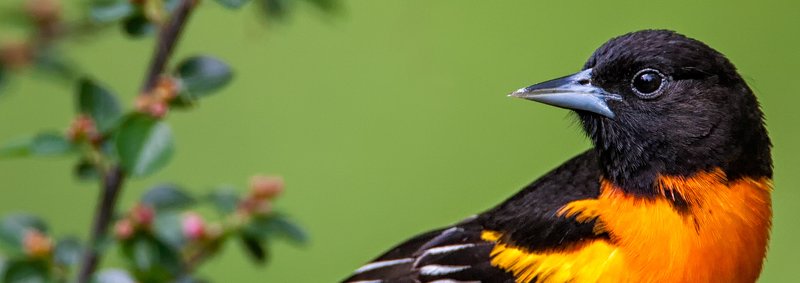 Nadeen McCredden - Photo 17