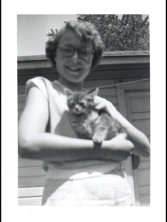 Karen C. Despin - Photo 124