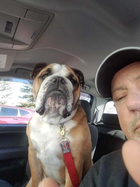 Louis F. Savaglio - Photo 6