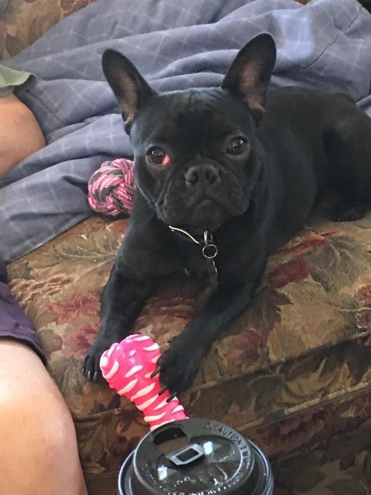 Louis F. Savaglio - Photo 10